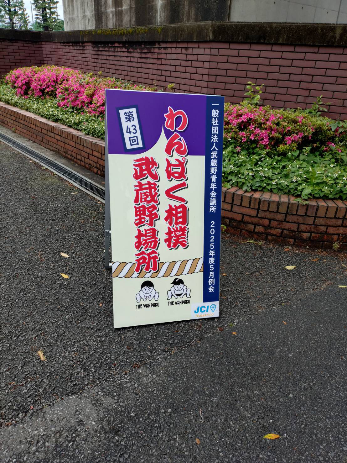 わんぱく相撲